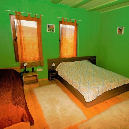 Chuchi Guest House 1 Zlatna Panega Dış mekan fotoğraf