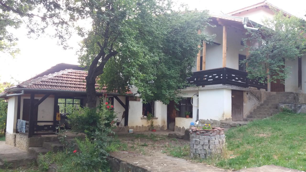 Chuchi Guest House 1 Zlatna Panega Dış mekan fotoğraf