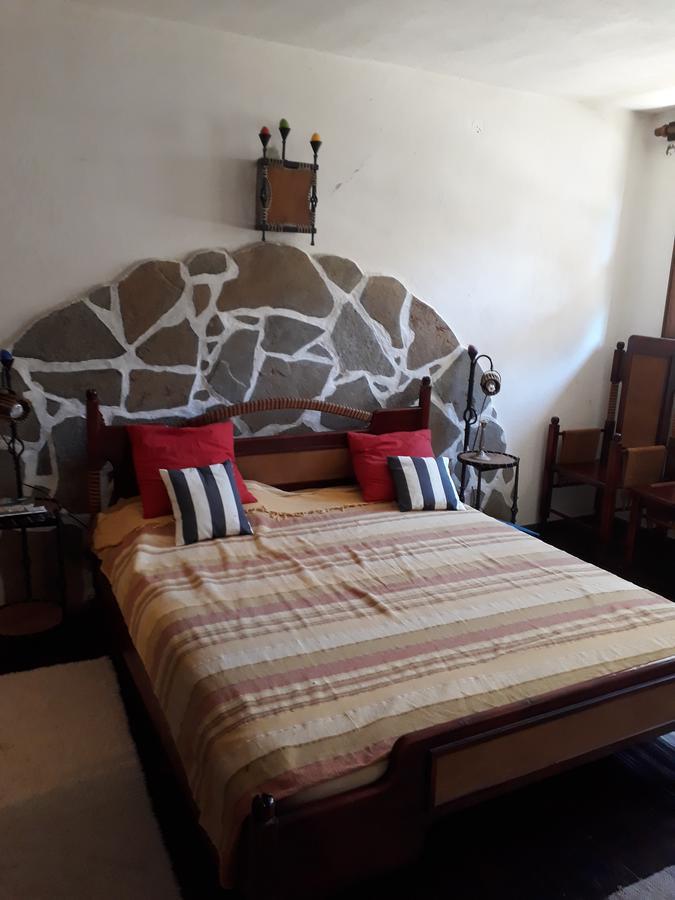 Chuchi Guest House 1 Zlatna Panega Dış mekan fotoğraf