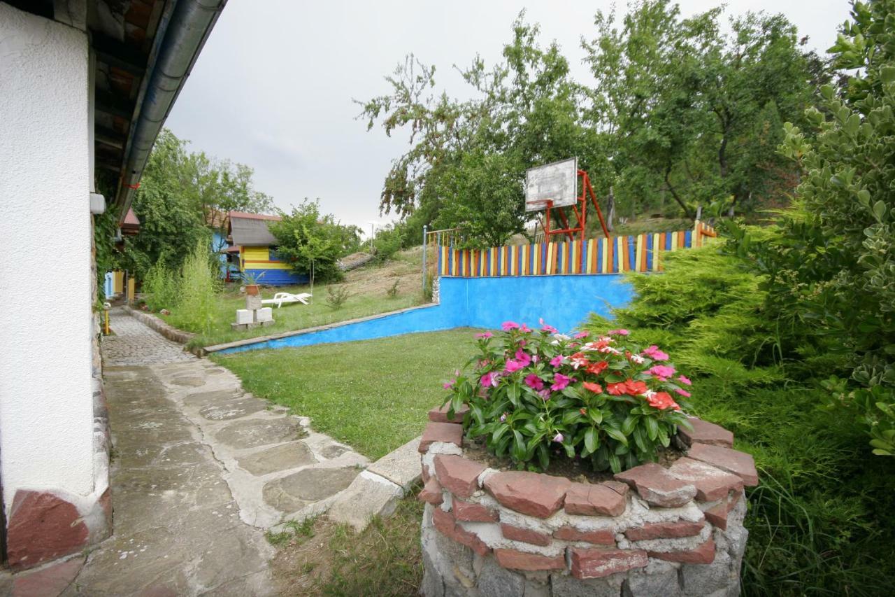 Chuchi Guest House 1 Zlatna Panega Dış mekan fotoğraf