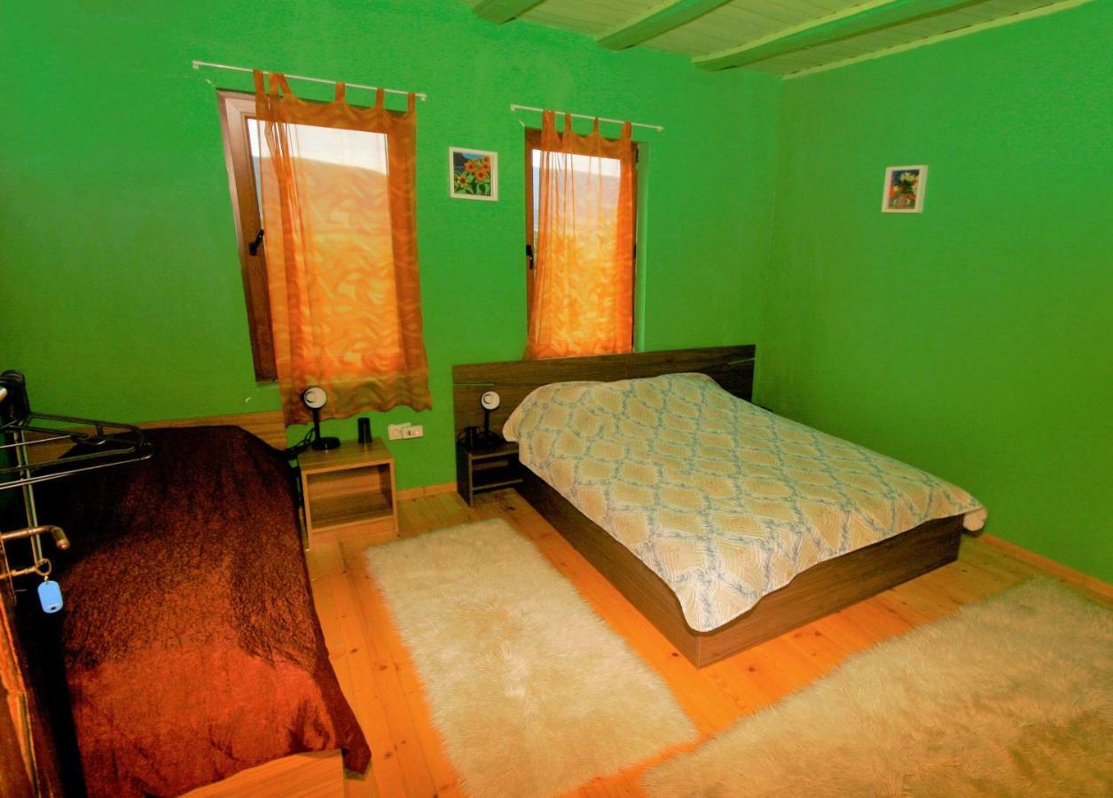 Chuchi Guest House 1 Zlatna Panega Dış mekan fotoğraf