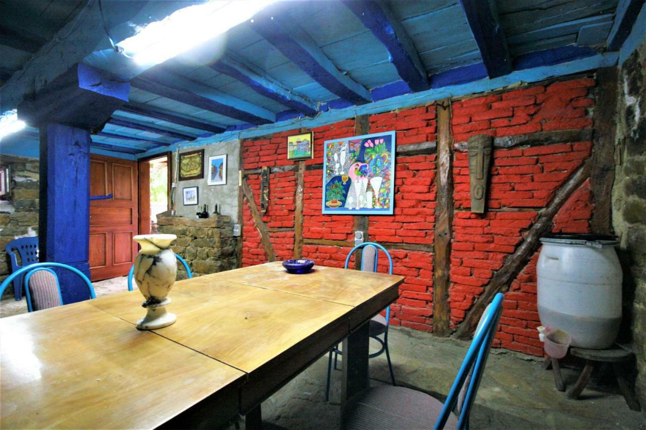 Chuchi Guest House 1 Zlatna Panega Dış mekan fotoğraf