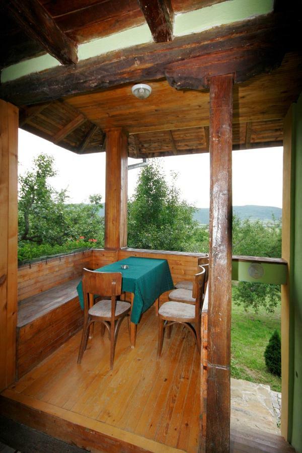 Chuchi Guest House 1 Zlatna Panega Dış mekan fotoğraf