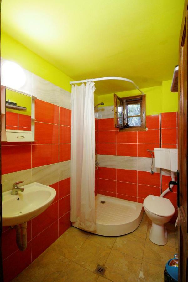 Chuchi Guest House 1 Zlatna Panega Dış mekan fotoğraf
