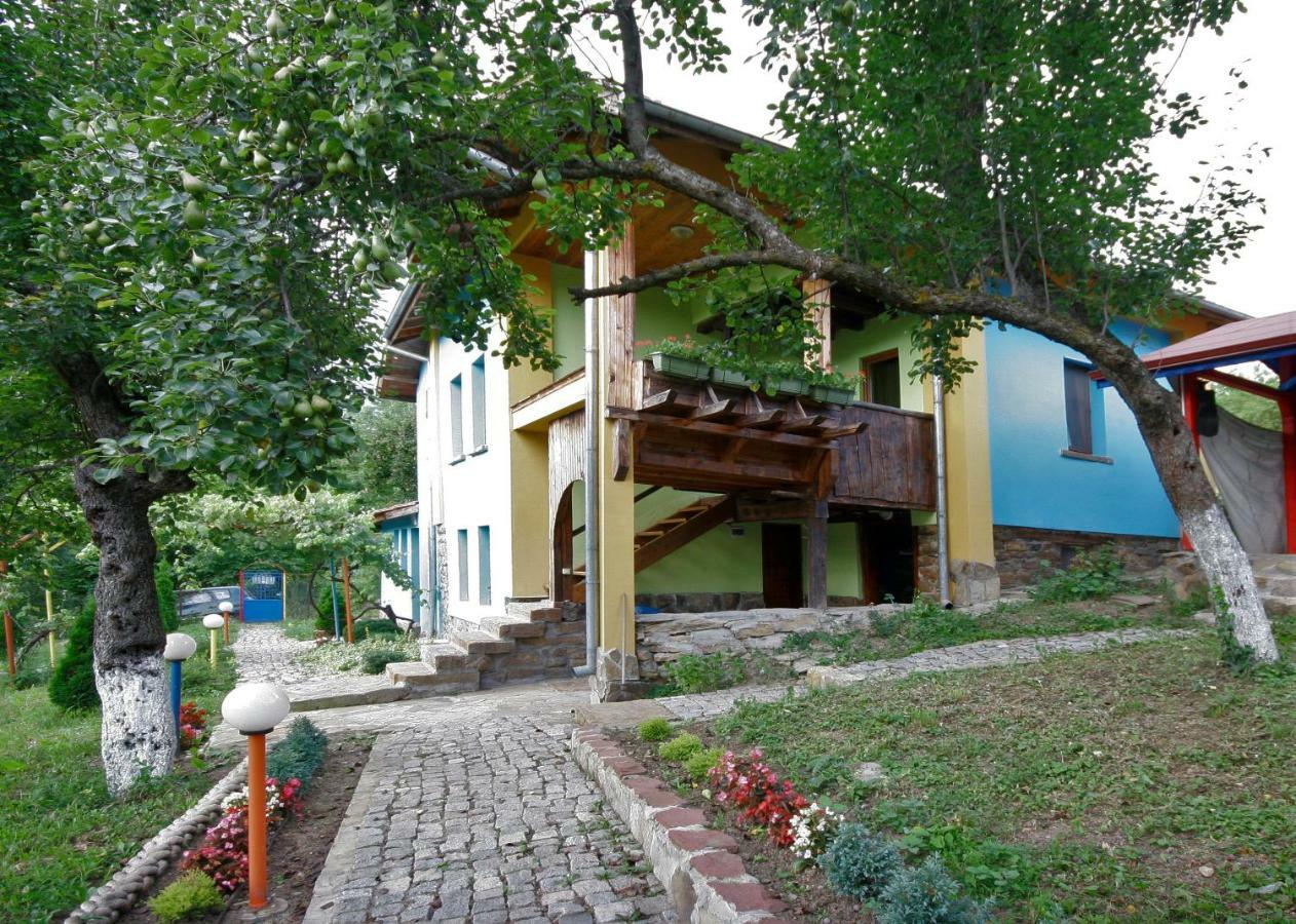 Chuchi Guest House 1 Zlatna Panega Dış mekan fotoğraf