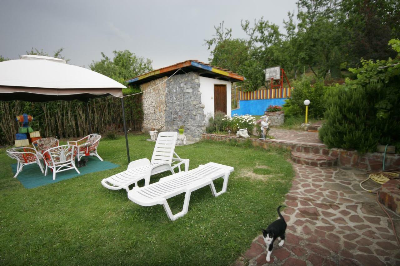 Chuchi Guest House 1 Zlatna Panega Dış mekan fotoğraf