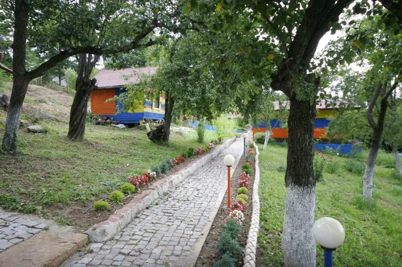 Chuchi Guest House 1 Zlatna Panega Dış mekan fotoğraf